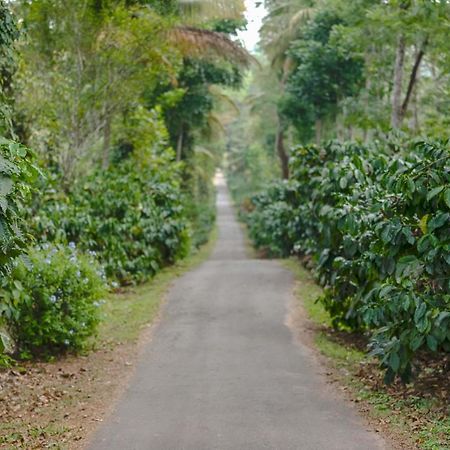 Belvilla The School Estate- Luxury Heritage Home In 200 Acres Madikeri Bagian luar foto